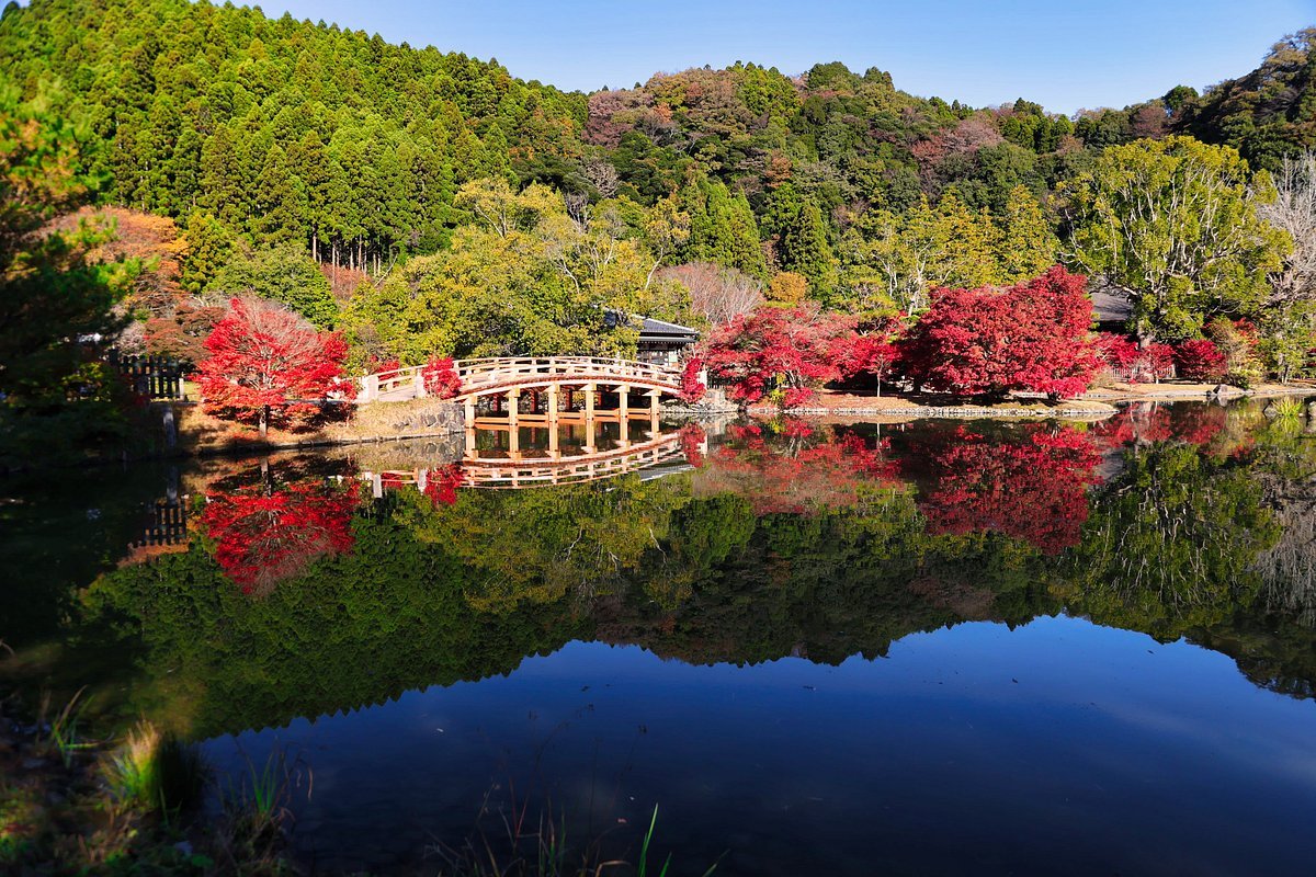 🏞️ 흰 물의 연못 (시라미즈노이케) 이미지 6